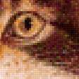 Предпросмотр схемы вышивки «Осенний кот» (№1615098)