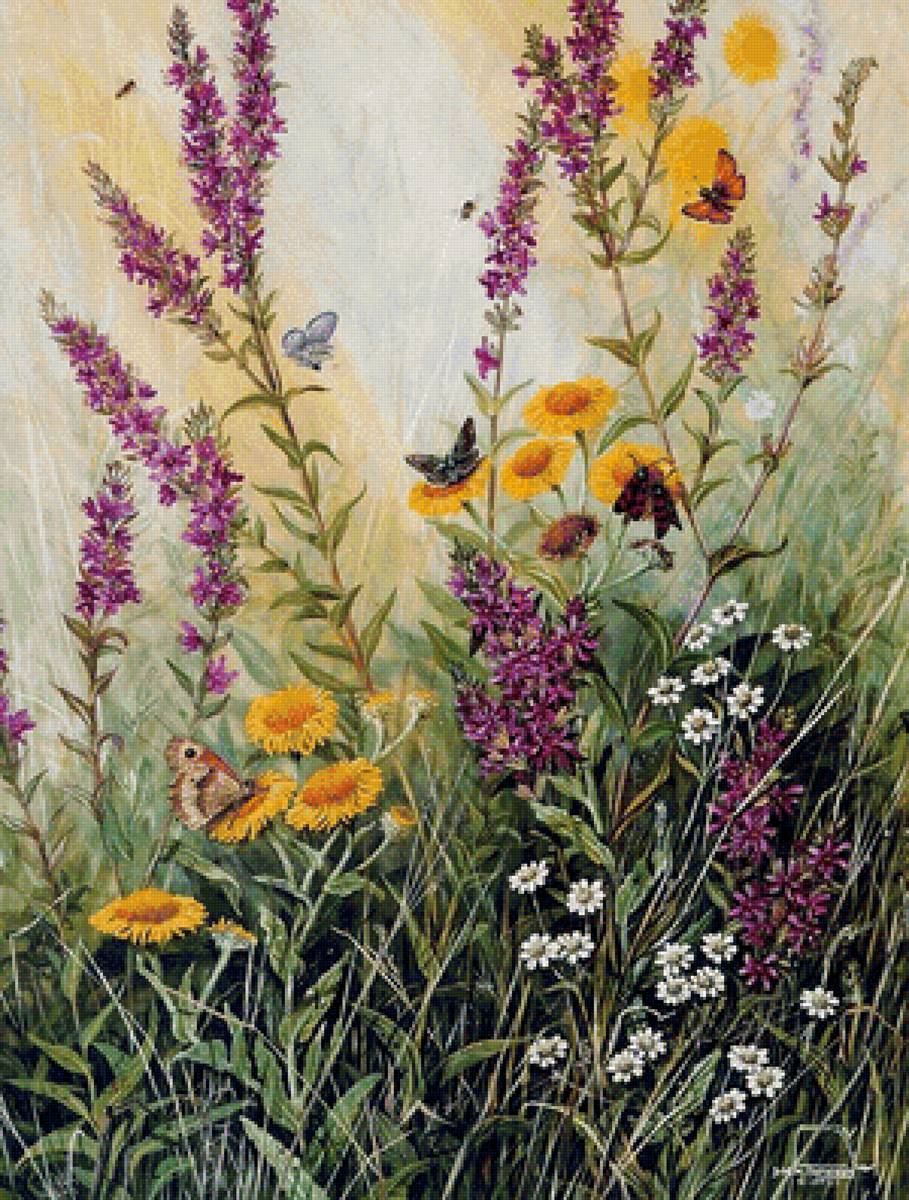 Полевые цветы - цветы, трава, бабочки - предпросмотр