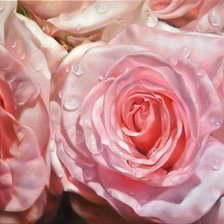 Схема вышивки «Розы»