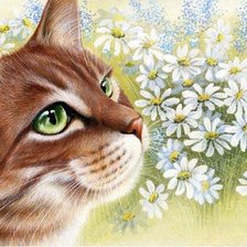 Схема вышивки «кошечка»