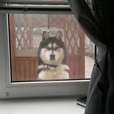 Схема вышивки «лайка»