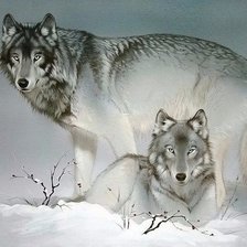 Схема вышивки «Волки»