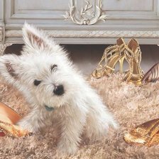 Схема вышивки «Собачка»