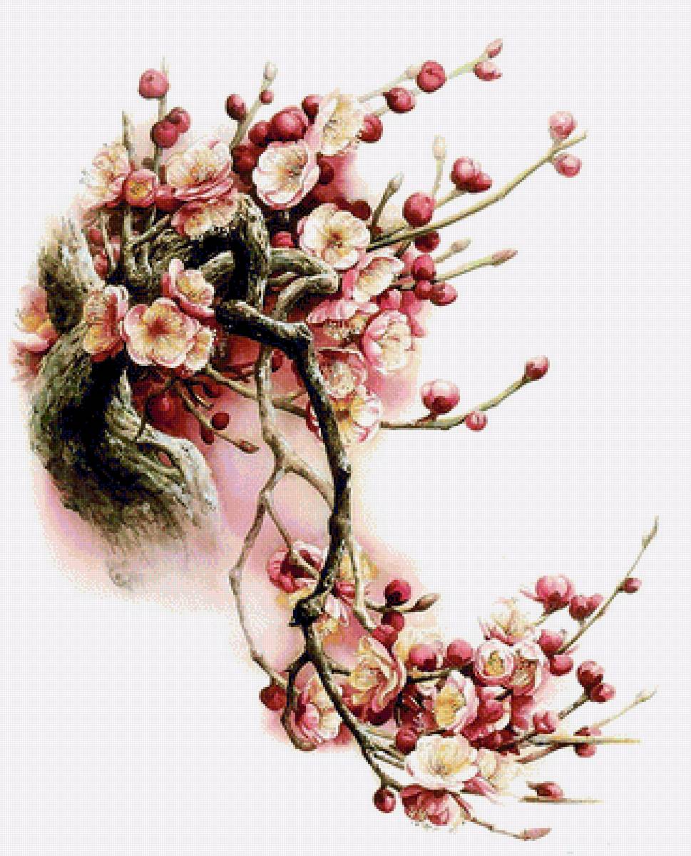 halúzka kvetov - предпросмотр