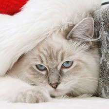 Схема вышивки «Новый год»