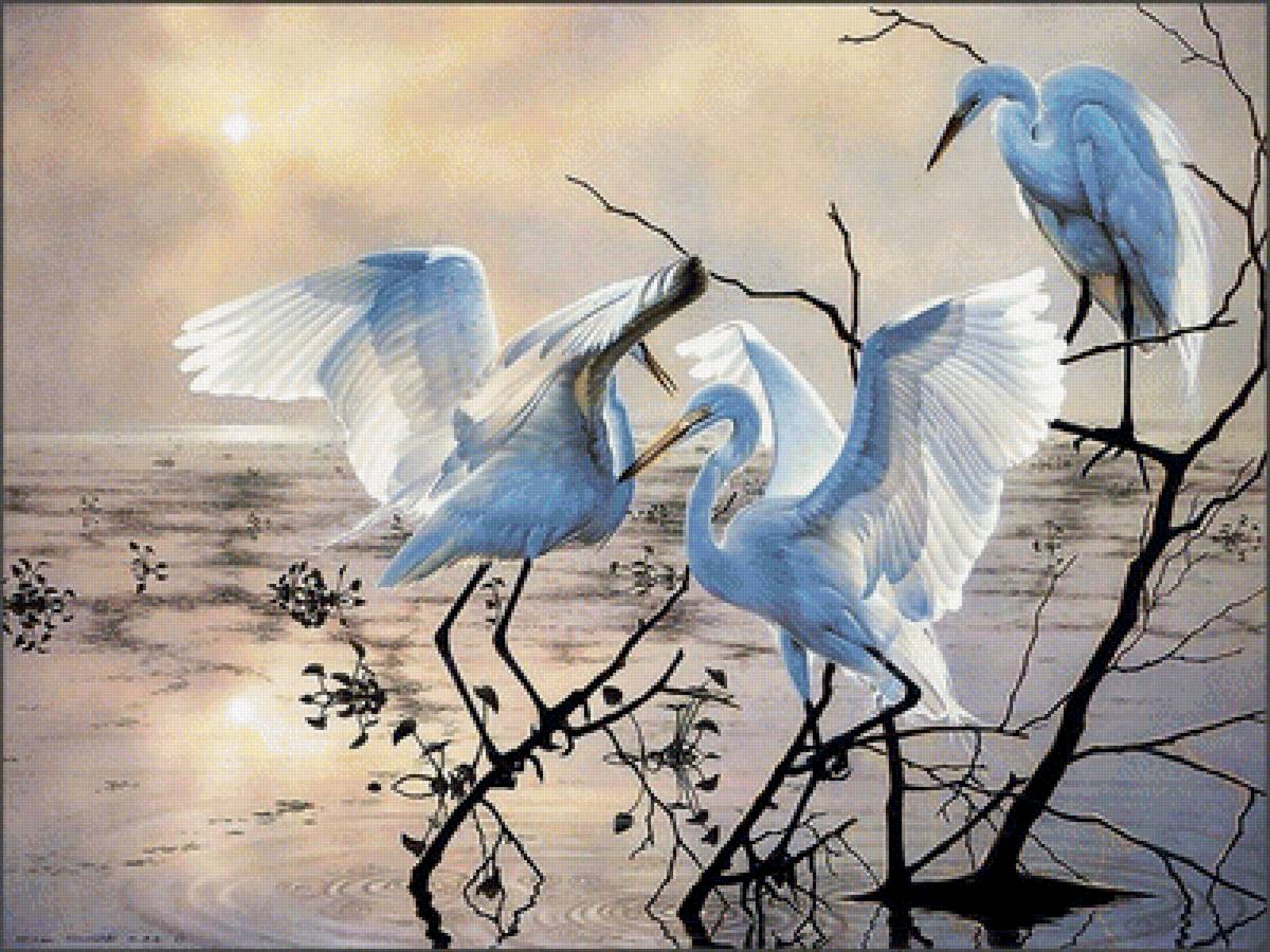 Журавлиная песнь - птицы, закат, река - предпросмотр