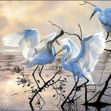 Схема вышивки «Журавлиная песнь»