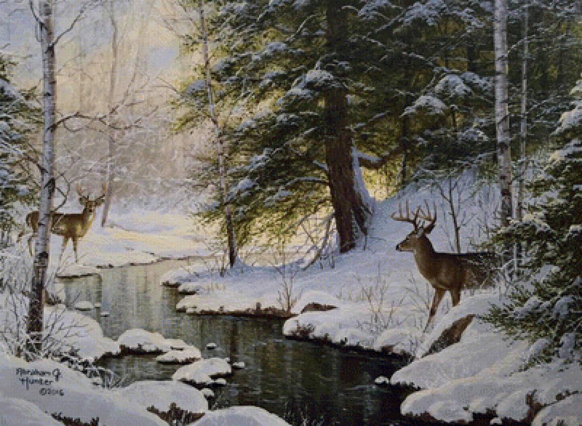 У лесного ручья - зима, животные, лес, ель, ручей - предпросмотр