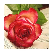 Схема вышивки «№1616589»