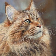 Схема вышивки «kot»