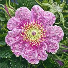 Схема вышивки «№1616826»