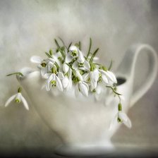 Схема вышивки «ПОДСНЕЖНИКИ»