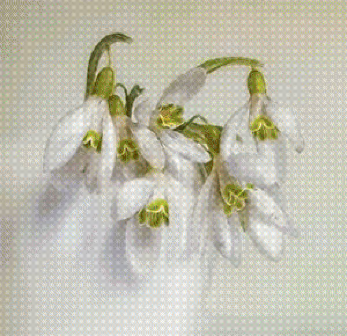 ПОДСНЕЖНИКИ - подснежники - предпросмотр