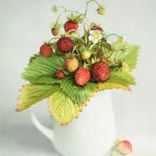 Схема вышивки «НАТЮРМОРТ С ЯГОДАМИ»