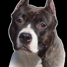 Схема вышивки «Амcтафа»