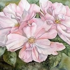 Схема вышивки «№1617049»