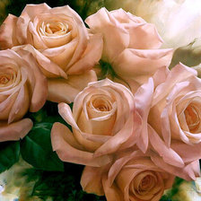 Пудровые розы