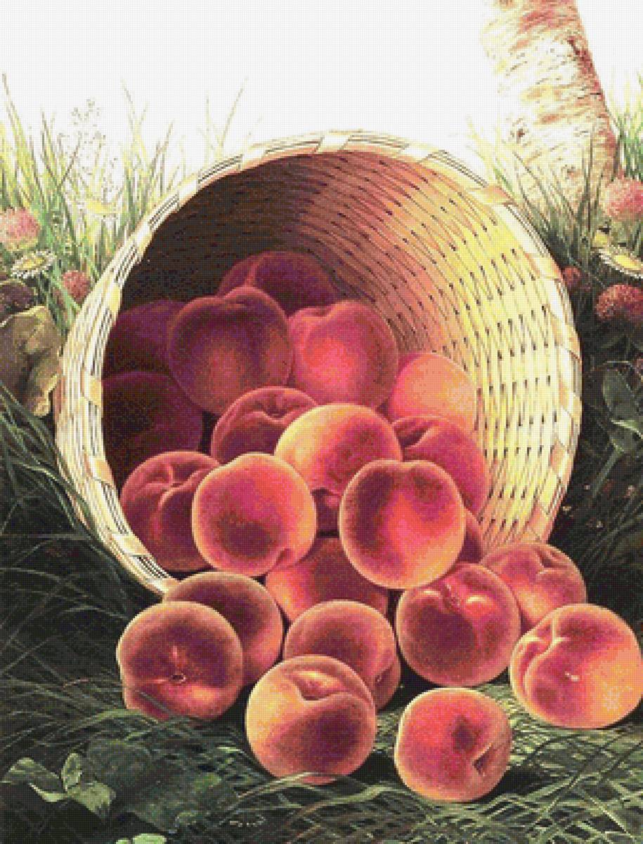 №1617566 - предпросмотр