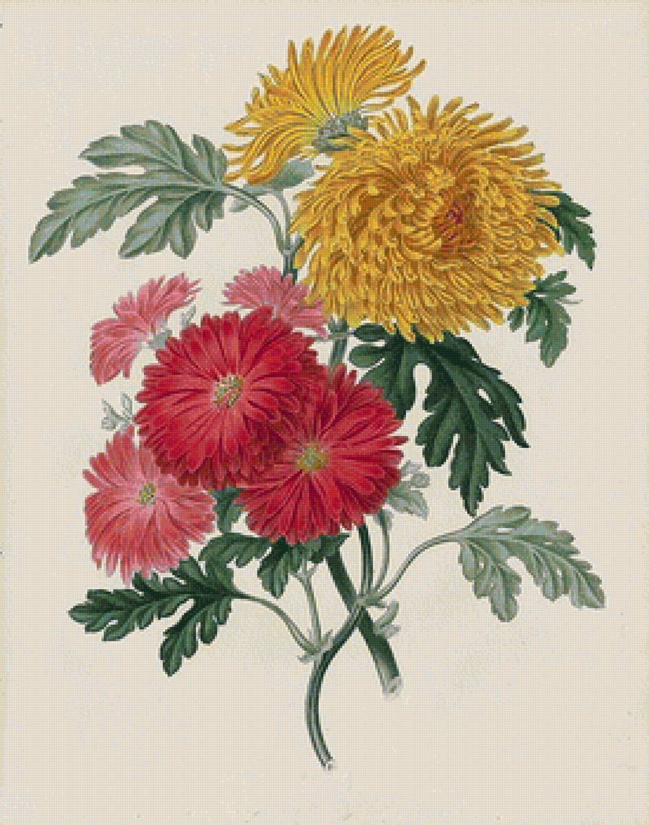 №1617619 - предпросмотр