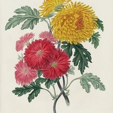 Схема вышивки «№1617619»