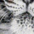 Предпросмотр схемы вышивки «Тигр» (№1617752)