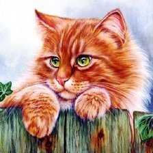 Схема вышивки «кот,»