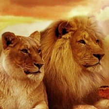 Схема вышивки «пара львов»