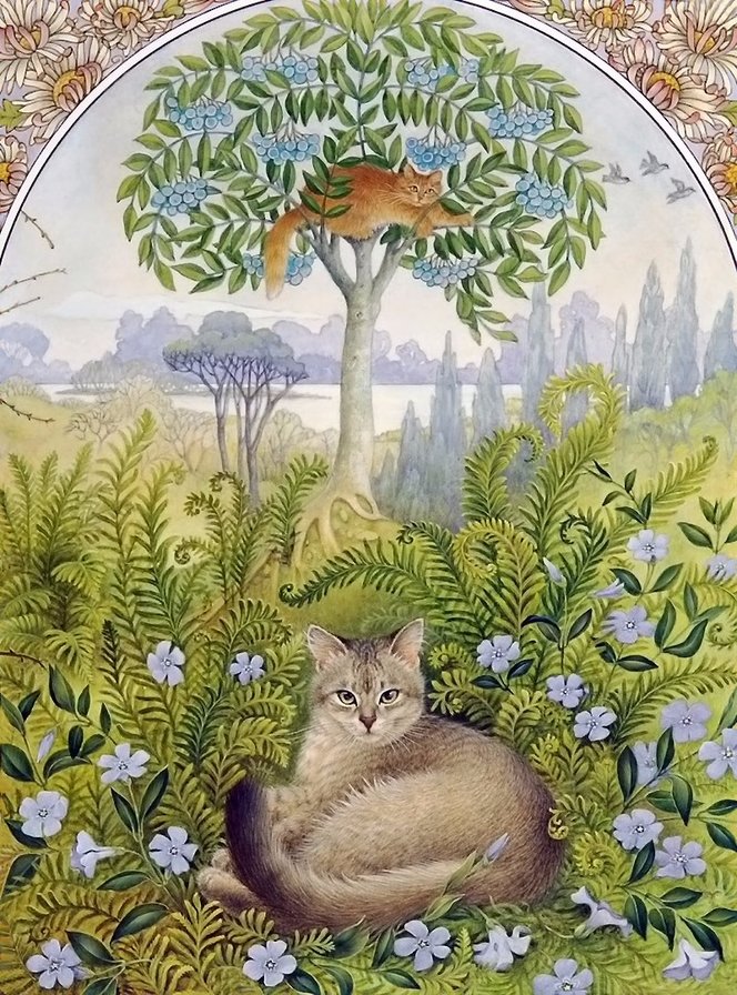 Коты - животные - оригинал