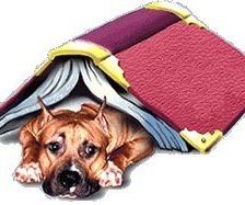 Схема вышивки «Амcтафа»