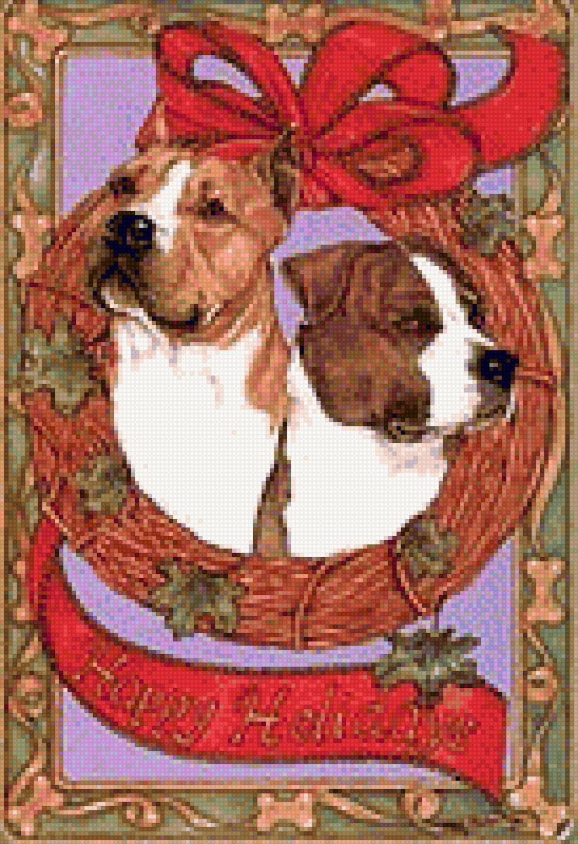 Амcтафа - аст, питбуль, амстафф, ам. стафф булли, ам.стафф стафф стаффик - предпросмотр