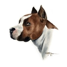 Схема вышивки «Амcтафа»