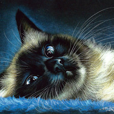 Схема вышивки «Сиамский котик»