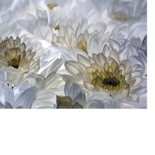 Схема вышивки «№1618480»