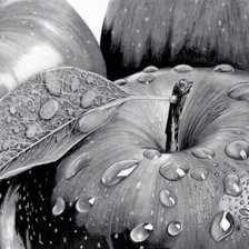 Схема вышивки «№1618550»