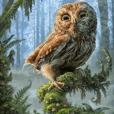 Схема вышивки «Совенок в лесу»