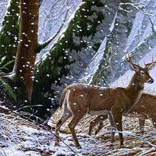 Схема вышивки «№1618961»