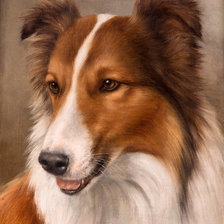 Схема вышивки «№1619001»