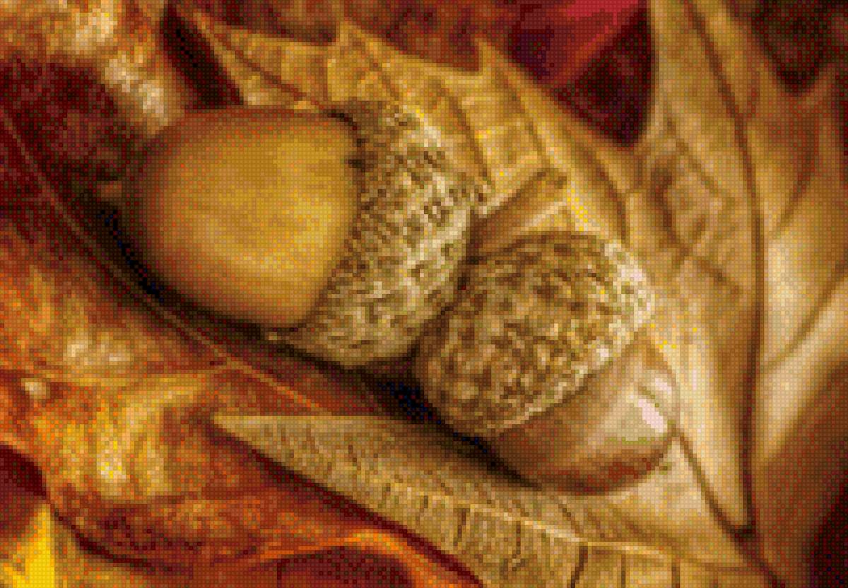 Желудь - предпросмотр