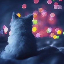 Схема вышивки «Котейка»