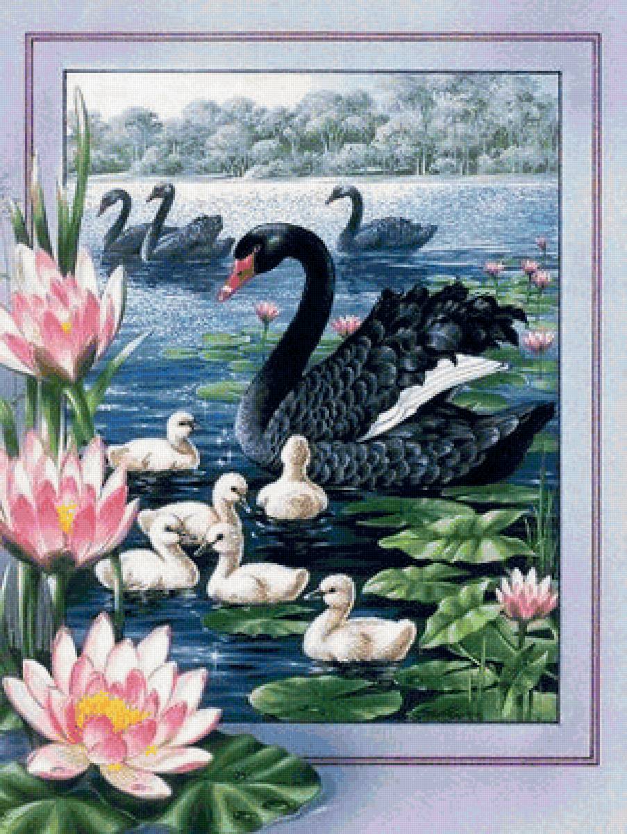 №1619291 - предпросмотр