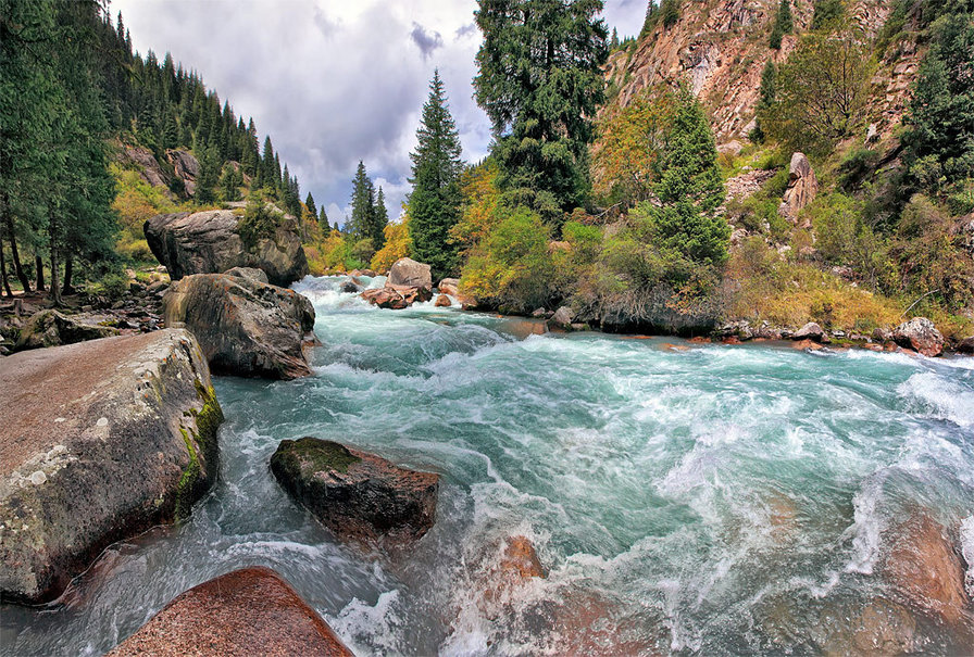 Река - камни, мощь, река, лес, берег, пейзаж, поток - оригинал