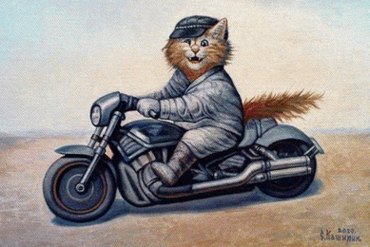 №1619302 - коты - предпросмотр