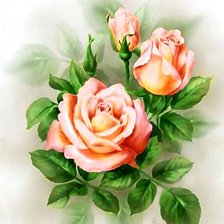 Схема вышивки «Розы»