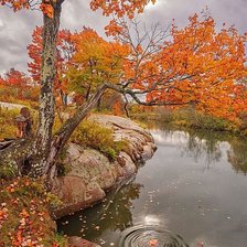 Схема вышивки «№1619464»