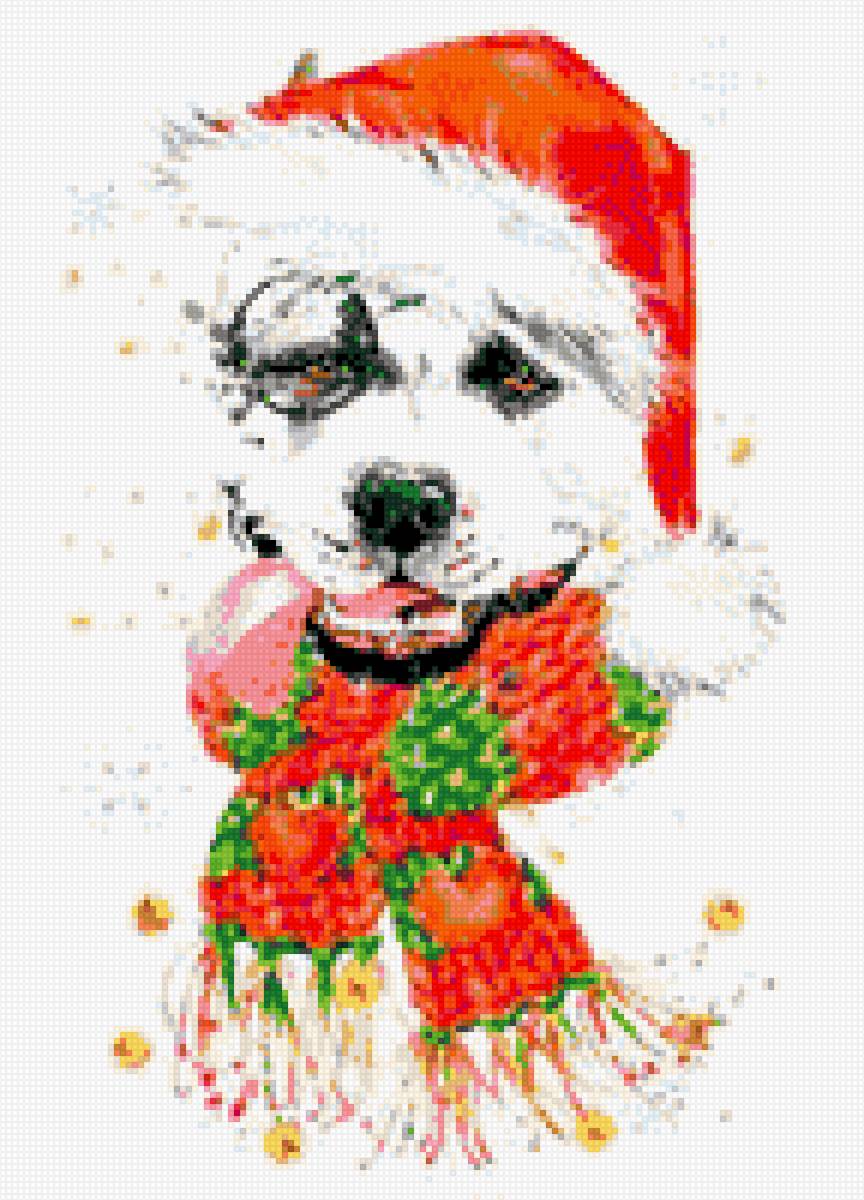 Амcтафа - аст, питбуль, ам.стафф стафф стаффик, ам. стафф булли, амстафф - предпросмотр