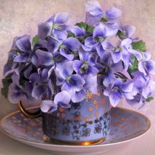 Схема вышивки «ФИАЛKИ»