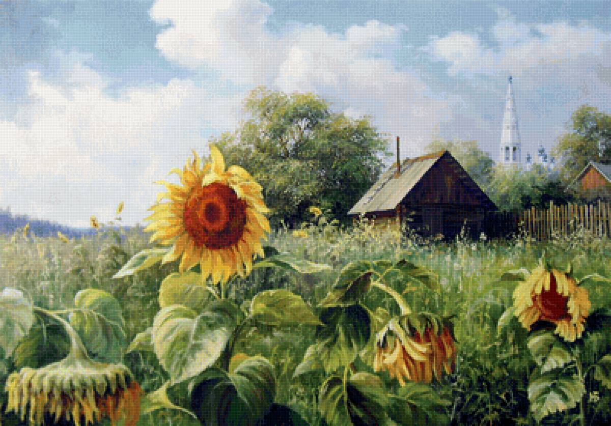 Подсолнухи - солнце, дома, деревня, подсолнухи, поле, трава, лето - предпросмотр