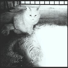 Схема вышивки «Мечты2»