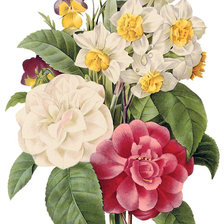 Схема вышивки «№1620140»