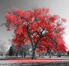 Схема вышивки «Пейзаж»